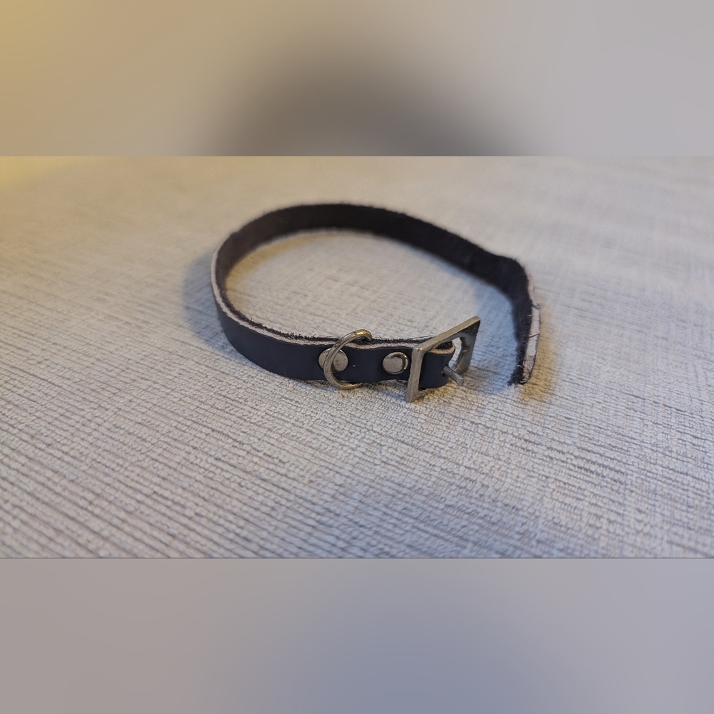 Navy Blue Leather Small Collar with Silver Buckleu